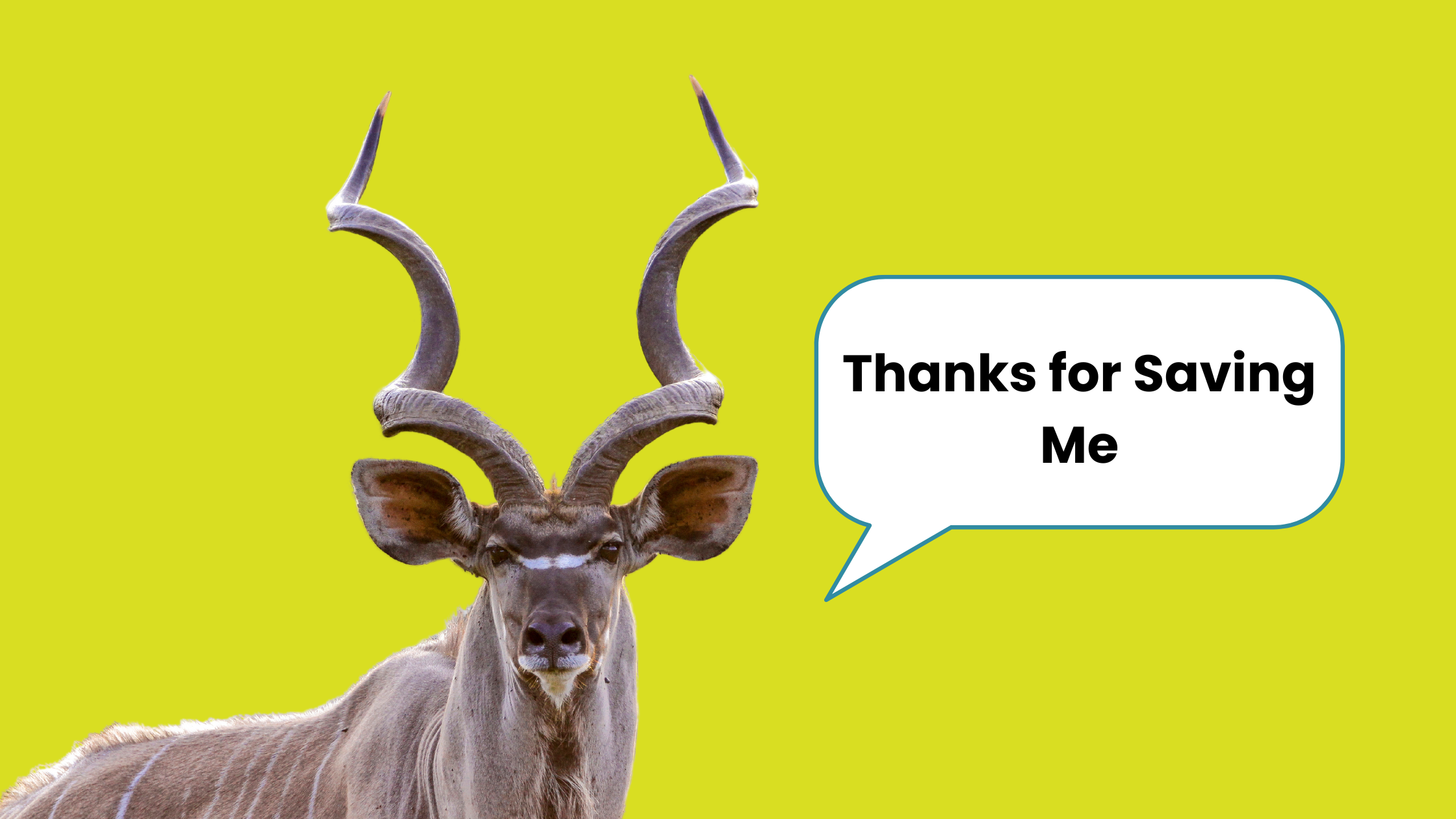 Saving Bucks With Our Affordable Legal Accounting Software - Quantim ...